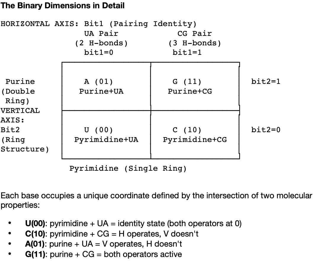 2×2 Gray code template showing binary encoding of four nucleotides by ring structure and pairing identity