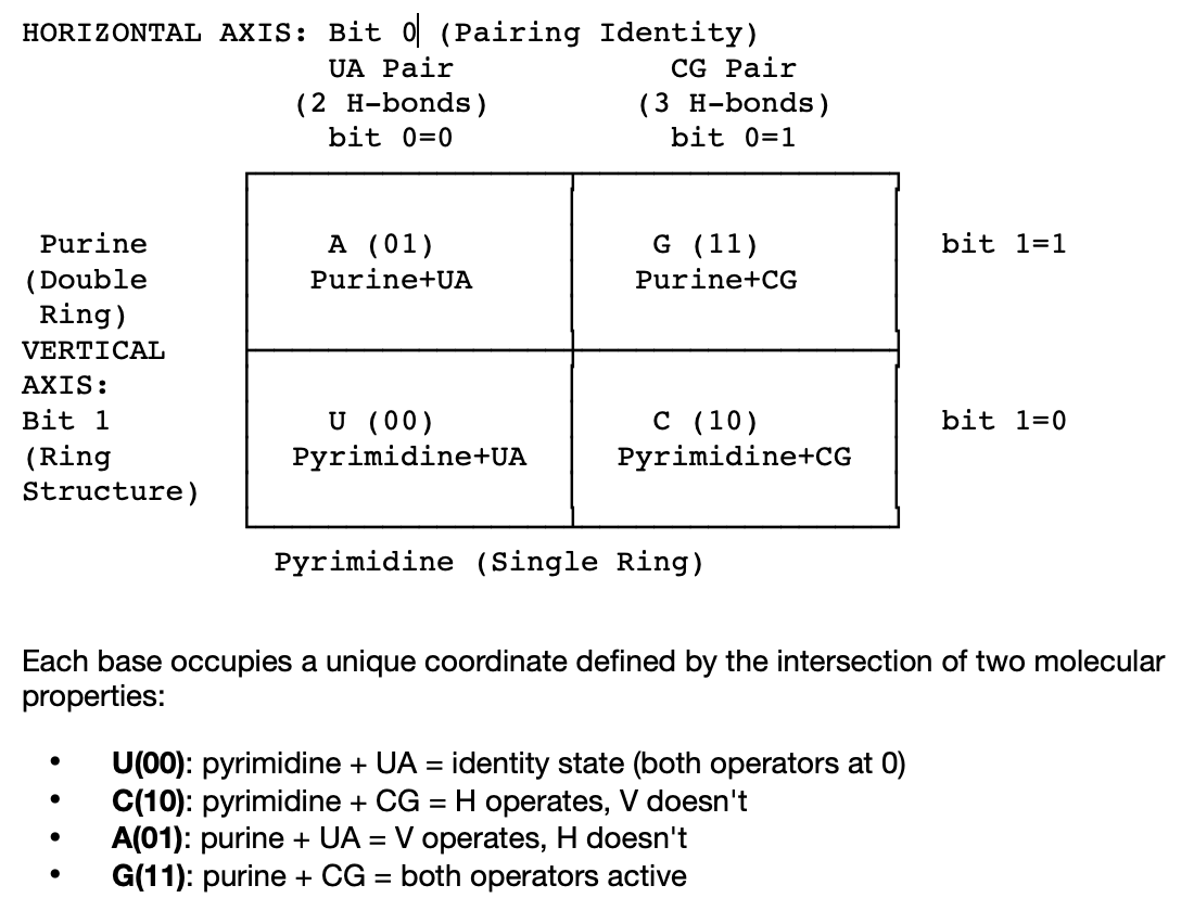 2×2 Gray code template showing binary encoding of four nucleotides by ring structure and pairing identity