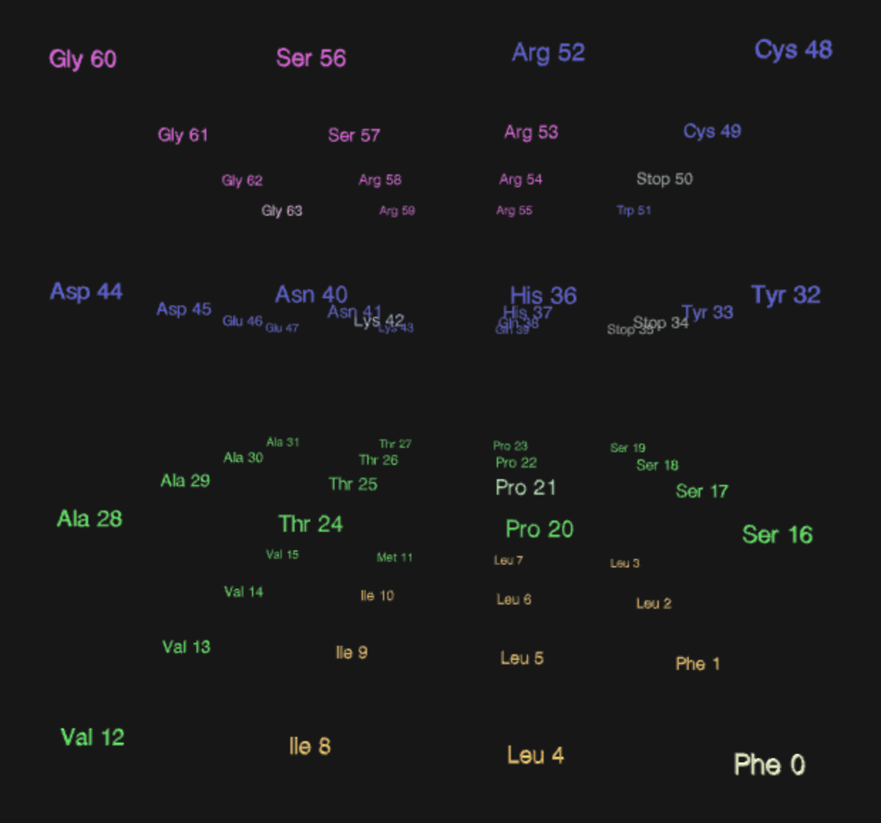 Complete amino acid organization
