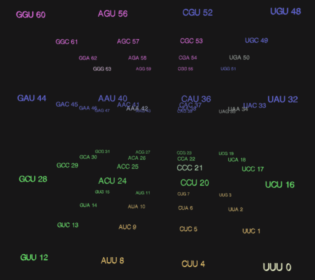 Complete codon organization