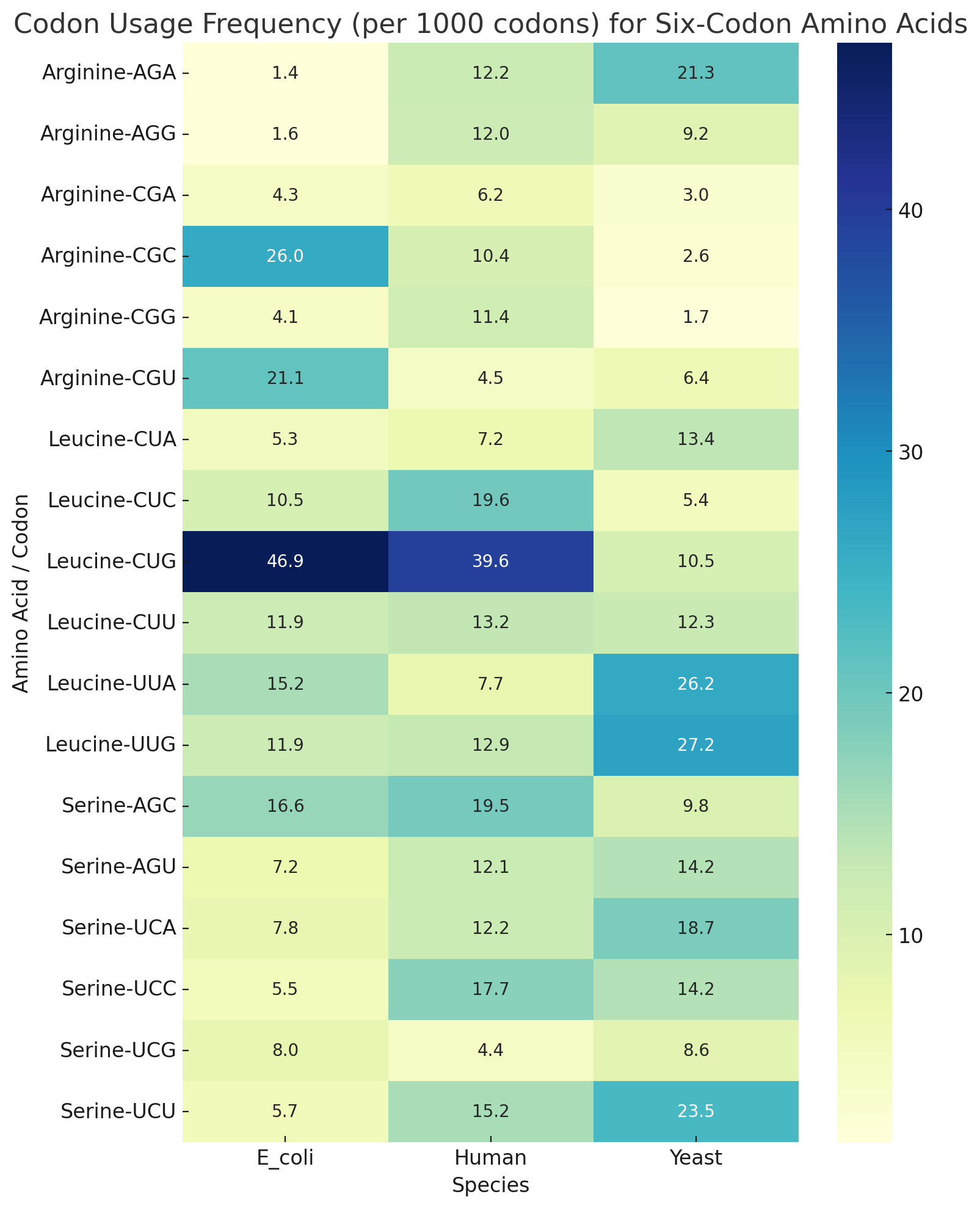 Species codon usage patterns